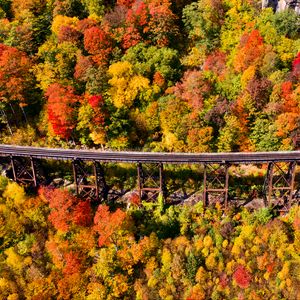 Preview wallpaper bridge, forest, autumn, aerial view