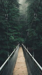 Preview wallpaper bridge, forest, fog, suspension bridge, rope bridge