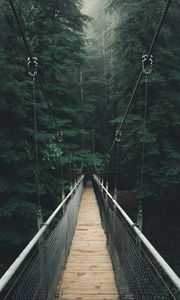 Preview wallpaper bridge, forest, fog, suspension bridge, rope bridge