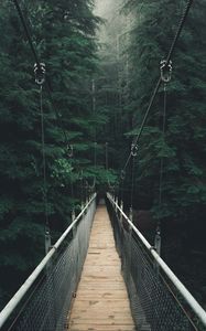 Preview wallpaper bridge, forest, fog, suspension bridge, rope bridge