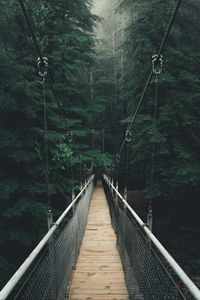 Preview wallpaper bridge, forest, fog, suspension bridge, rope bridge