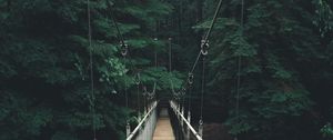 Preview wallpaper bridge, forest, fog, suspension bridge, rope bridge