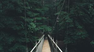 Preview wallpaper bridge, forest, fog, suspension bridge, rope bridge