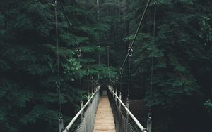 Preview wallpaper bridge, forest, fog, suspension bridge, rope bridge