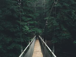 Preview wallpaper bridge, forest, fog, suspension bridge, rope bridge