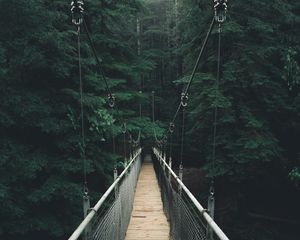 Preview wallpaper bridge, forest, fog, suspension bridge, rope bridge