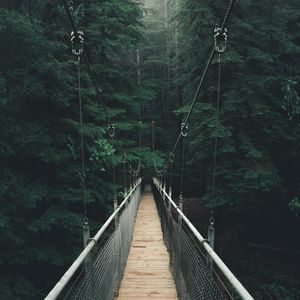 Preview wallpaper bridge, forest, fog, suspension bridge, rope bridge