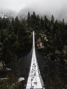 Preview wallpaper bridge, forest, fog, nature