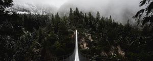 Preview wallpaper bridge, forest, fog, nature