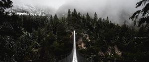 Preview wallpaper bridge, forest, fog, nature