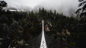 Preview wallpaper bridge, forest, fog, nature