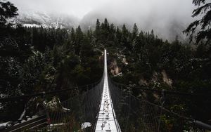 Preview wallpaper bridge, forest, fog, nature