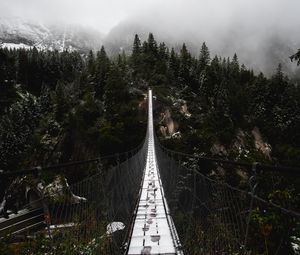 Preview wallpaper bridge, forest, fog, nature