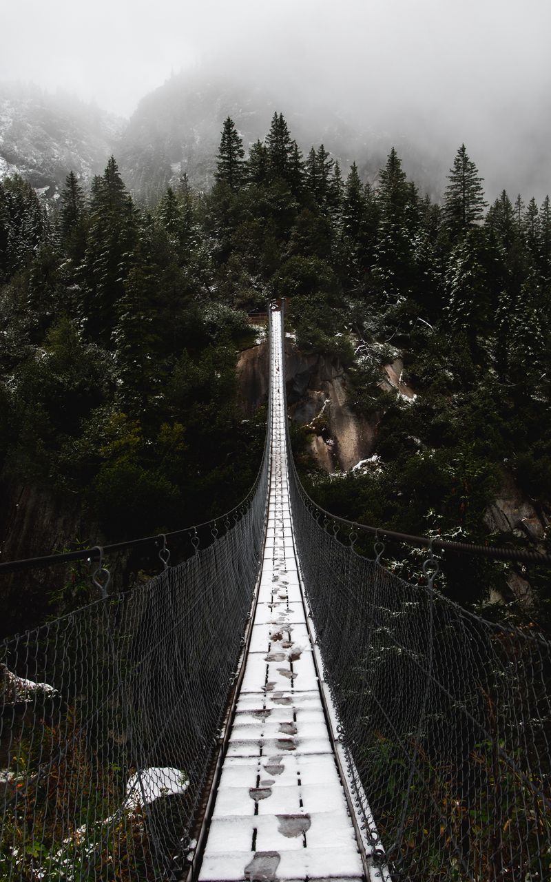 800x1280 Wallpaper bridge, forest, fog, nature