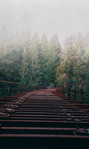 Preview wallpaper bridge, forest, fog, trees