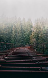 Preview wallpaper bridge, forest, fog, trees