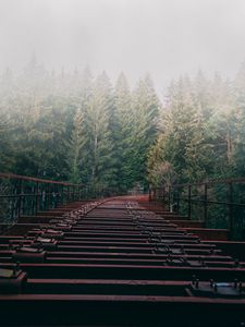 Preview wallpaper bridge, forest, fog, trees