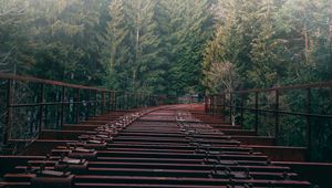 Preview wallpaper bridge, forest, fog, trees