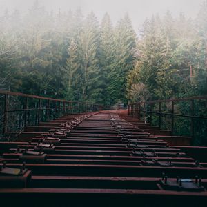 Preview wallpaper bridge, forest, fog, trees