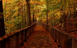 Preview wallpaper bridge, forest, leaves, autumn, landscape