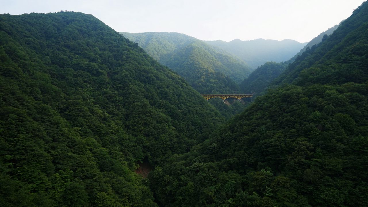 Wallpaper bridge, forest, mountains, nature