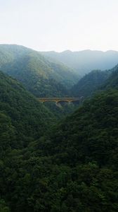 Preview wallpaper bridge, forest, mountains, nature