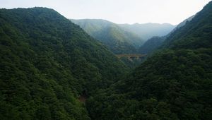 Preview wallpaper bridge, forest, mountains, nature