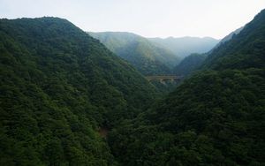 Preview wallpaper bridge, forest, mountains, nature