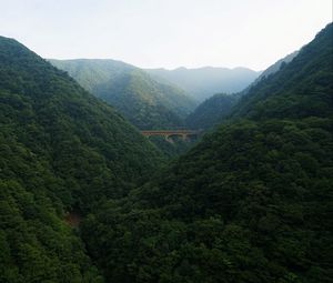 Preview wallpaper bridge, forest, mountains, nature
