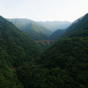 Preview wallpaper bridge, forest, mountains, nature