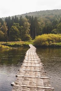 Preview wallpaper bridge, forest, river