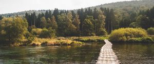 Preview wallpaper bridge, forest, river