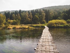 Preview wallpaper bridge, forest, river