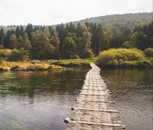 Preview wallpaper bridge, forest, river