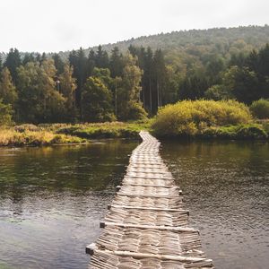 Preview wallpaper bridge, forest, river