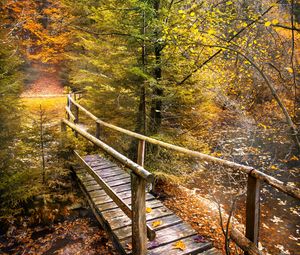 Preview wallpaper bridge, forest, river, autumn, nature