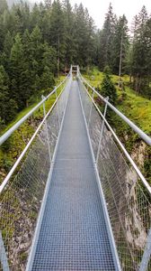 Preview wallpaper bridge, forest, trees