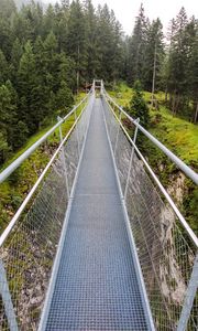 Preview wallpaper bridge, forest, trees