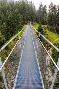 Preview wallpaper bridge, forest, trees