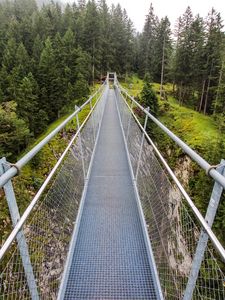 Preview wallpaper bridge, forest, trees