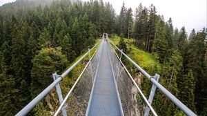 Preview wallpaper bridge, forest, trees