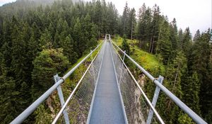 Preview wallpaper bridge, forest, trees