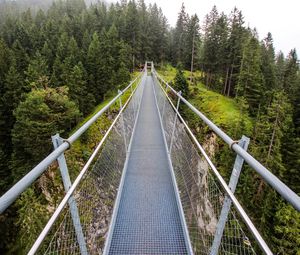 Preview wallpaper bridge, forest, trees