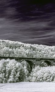 Preview wallpaper bridge, forest, trees, nature, sky