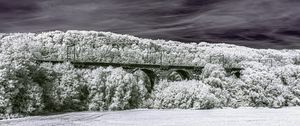 Preview wallpaper bridge, forest, trees, nature, sky