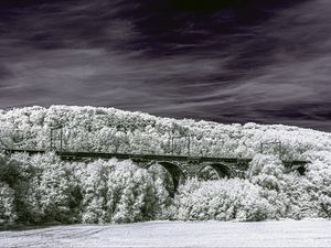 Preview wallpaper bridge, forest, trees, nature, sky