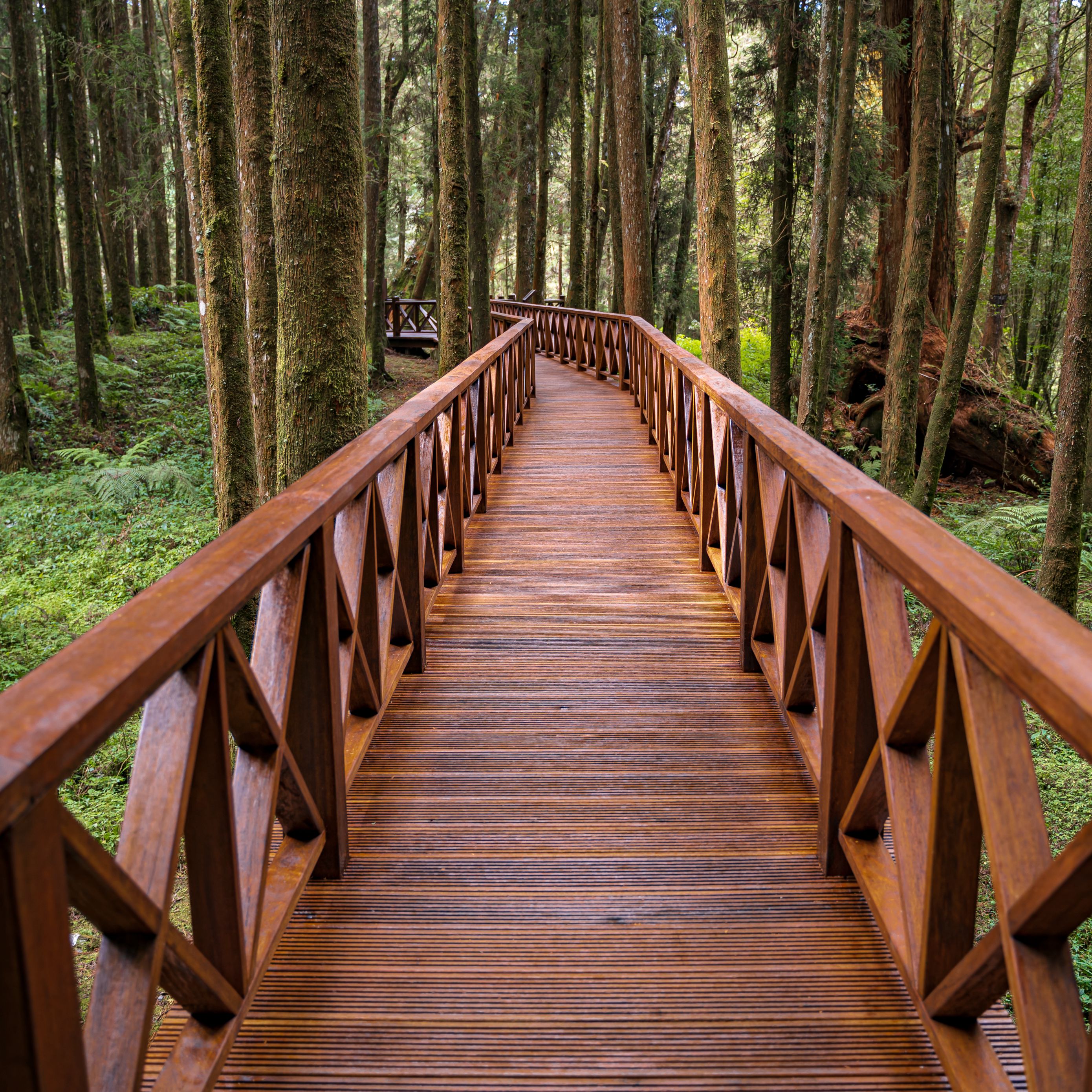 Download Wallpaper 2780x2780 Bridge Forest Trees Nature Ipad Air 