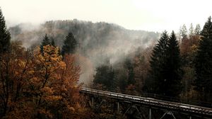 Preview wallpaper bridge, forest, trees, fog, autumn