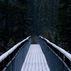 Preview wallpaper bridge, forest, trees, snow, nature