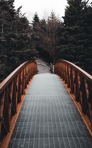 Preview wallpaper bridge, forest, trees, landscape